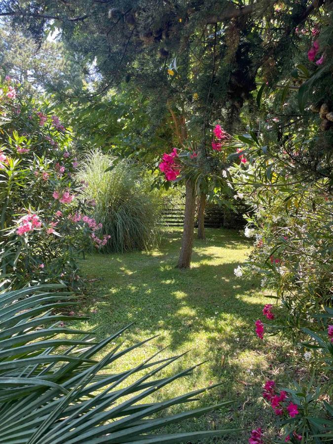 Gites Au Chateau Des Estubiers Les Granges-Gontardes Ngoại thất bức ảnh