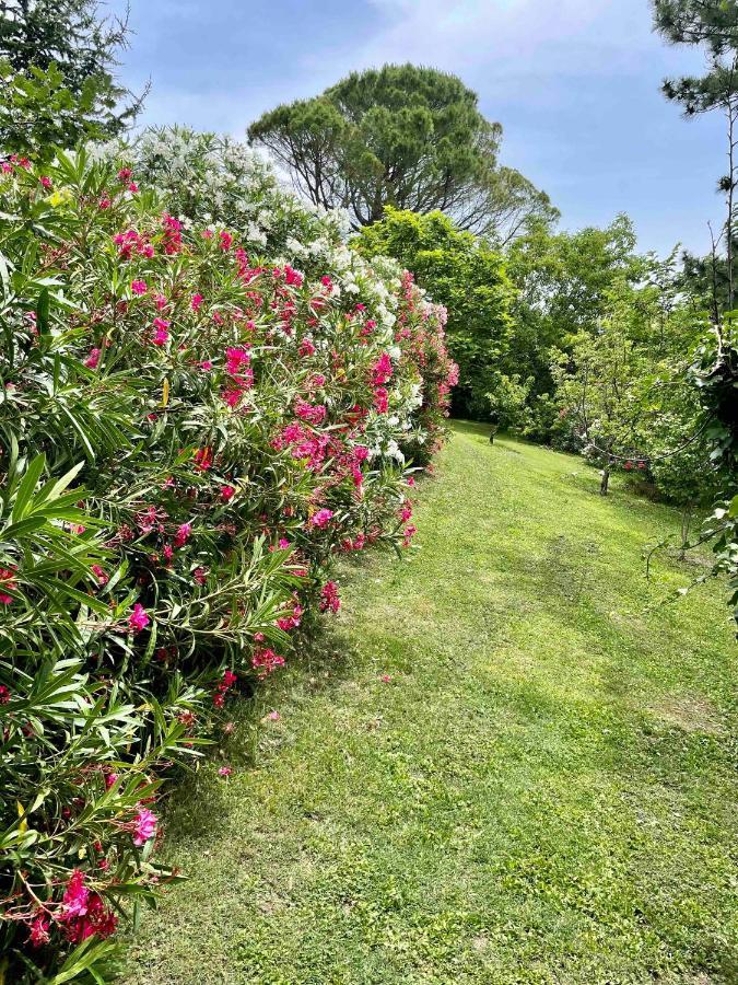 Gites Au Chateau Des Estubiers Les Granges-Gontardes Ngoại thất bức ảnh